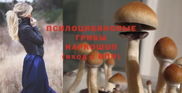 стафф Нязепетровск