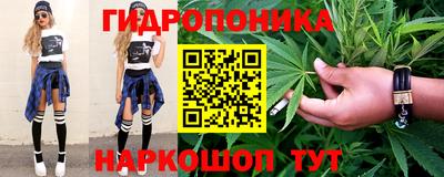 гидропоника Гусь-Хрустальный