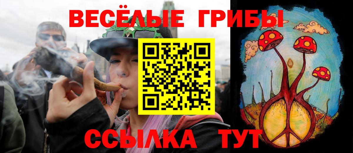 Галлюциногенные грибы Magic Shrooms Новомосковск
