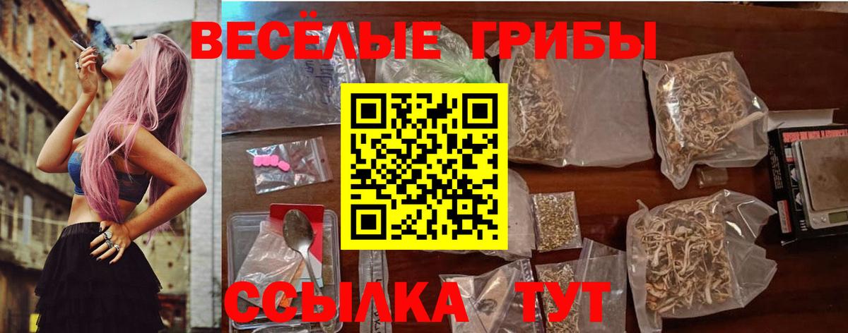 Новомосковск  где найти наркотики  Вход с VPN  Галлюциногенные грибы Psilocybine cubensis 
